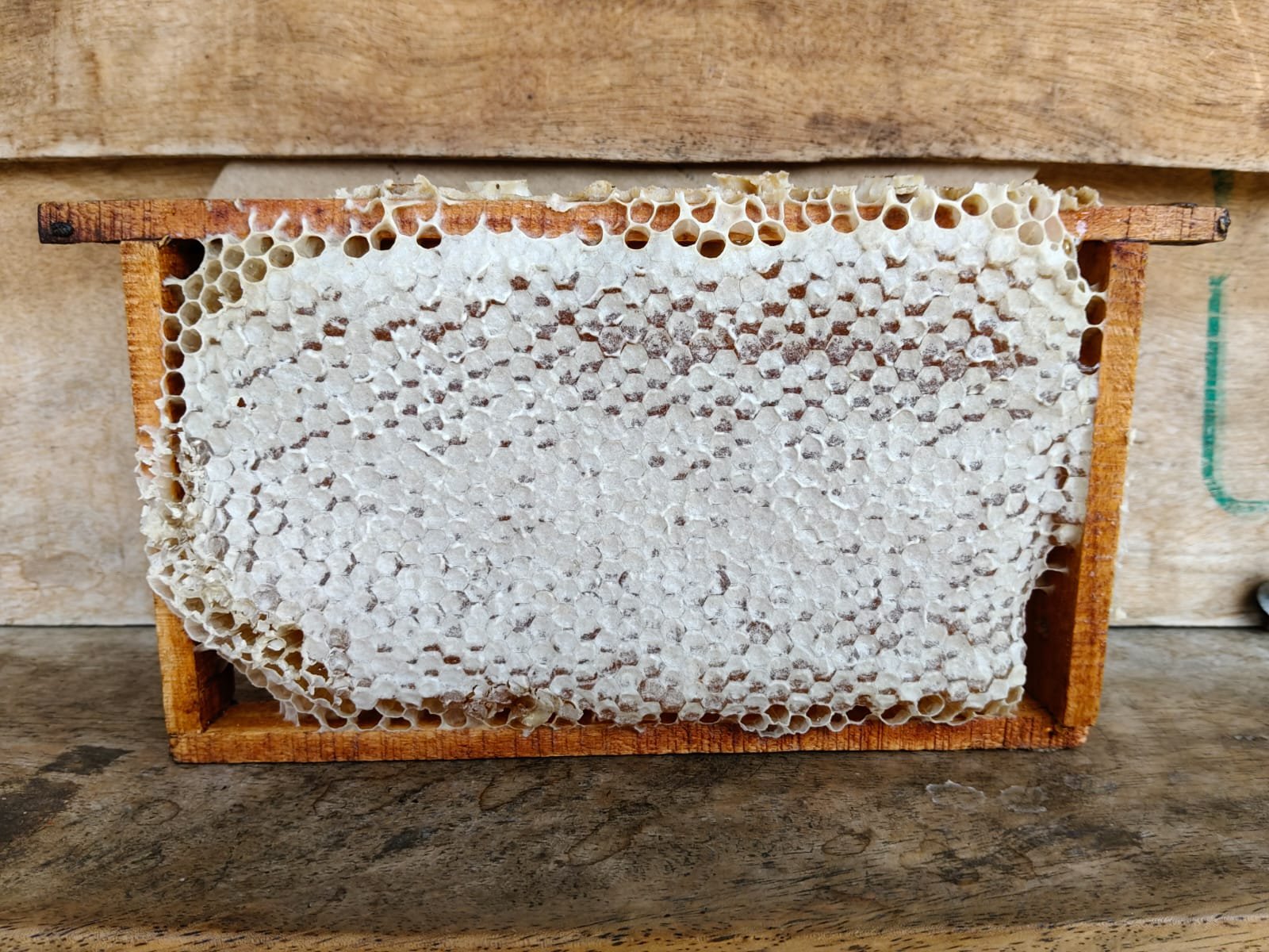 Comb Honey