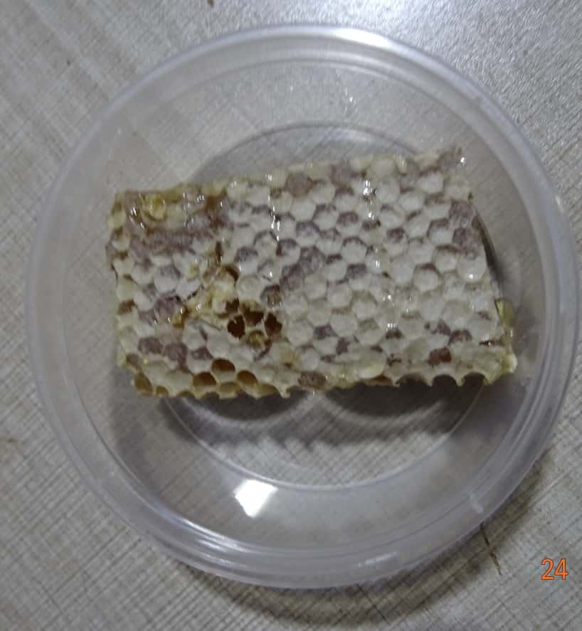 Comb honey